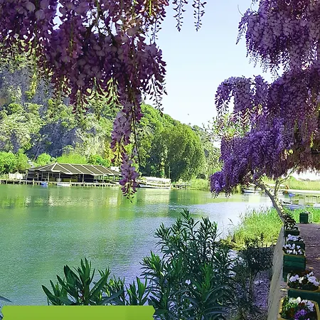 Nish Caria Дальян