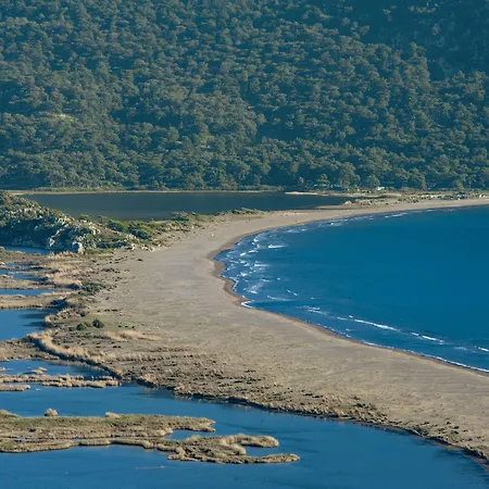 Отель Nish Caria