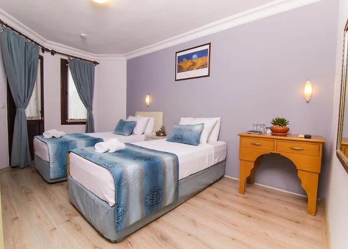 Nish Caria Otel 4*